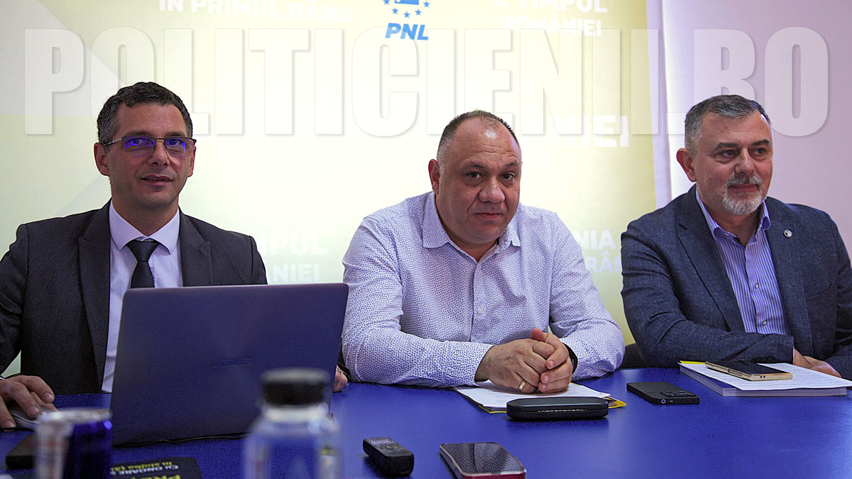 PNL - Conferinta de presa, Caras-Severin