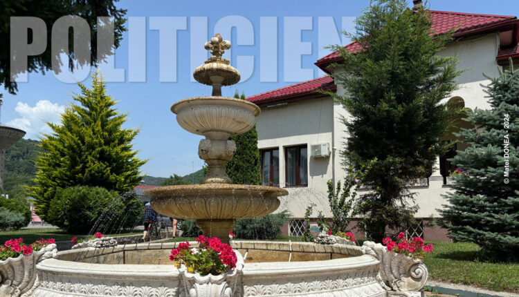 Cine candideaza la Otelu Rosu in alegerile anticipate