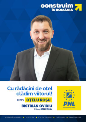 Ovidiu Bistrian, afis electoral