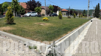 S-a zbarcit gazonul primarului Goja
