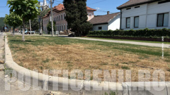 S-a zbarcit gazonul primarului Goja
