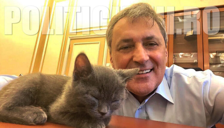 Deputatul Marcel Vela promoveaza protectia animalelor