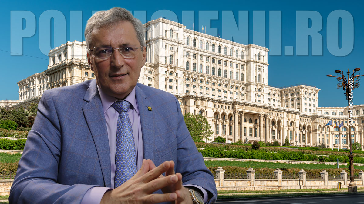 Marcel Vela, participare la actul decizional
