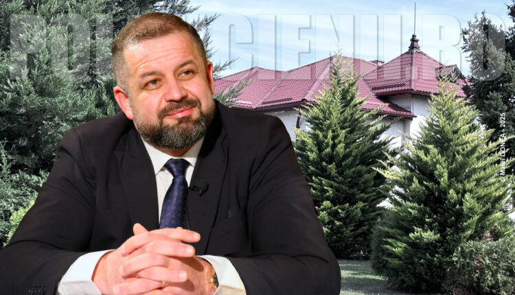 Organul administrativ