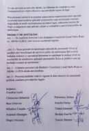 Proiect de HCL - pag. 2