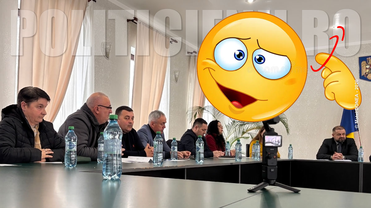 Consiliul Local Otelu Rosu