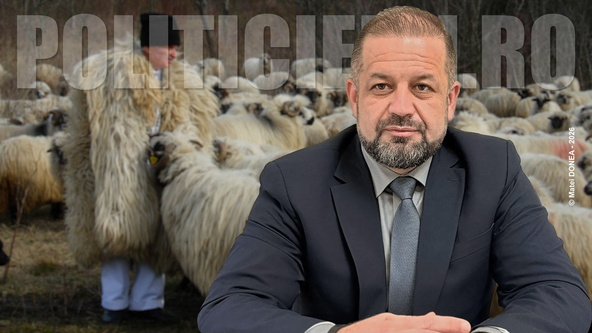 Inocentiu Goja, principal vinovat in scandalul pasunilor alpine