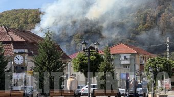 Incendiu de padure la Otelu Rosu