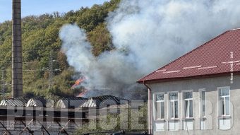 Incendiu de padure la Otelu Rosu