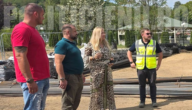 "Inocentiu" Goja pe santier